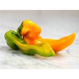 Paprika Golden marconi