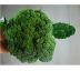 Brokolica waltham 29