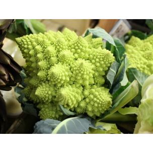 Romanesco brokolica