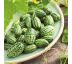 Cucamelon