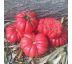 Paradajka Mushroom basket