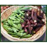 Okra