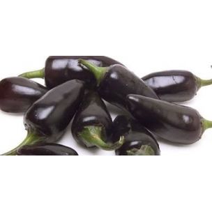 Paprika Jalapeno purple