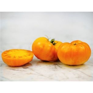 Paradajka Amana orange