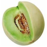 Melón Honeydew tam dew