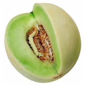 Melón Honeydew tam dew