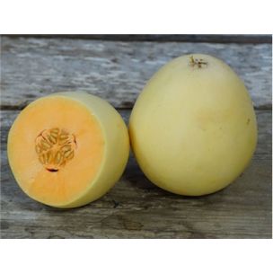 Melón Honeydew orange flesh