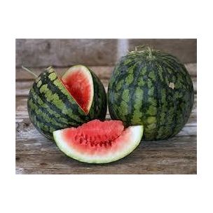 Melón Melitopolsky