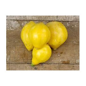 Tekvica lemon