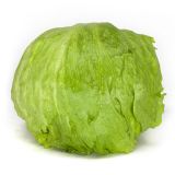 Šalát Ľadový - Iceberg