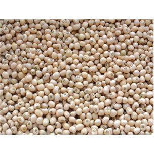 Rice cowpea