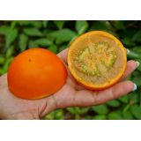 Naranjilla