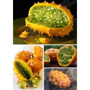 Kiwano