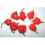 Paprika Carolina reaper