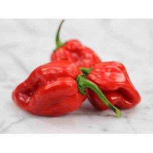 Paprika Carribean red habanero