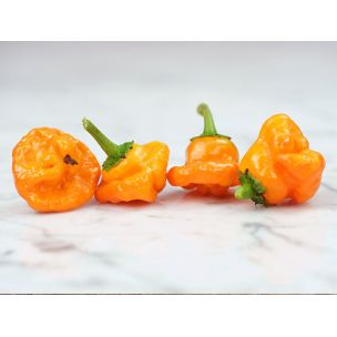 Paprika Scotch bonnet žlté