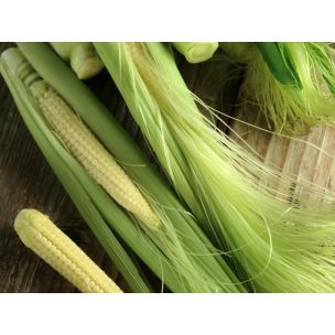 Kukurica Baby corn