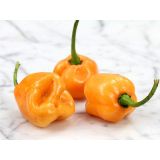 Paprika Habanero Peach