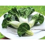 Baby Pak Choi