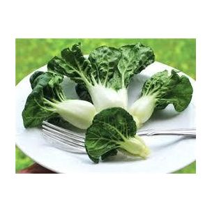 Baby Pak Choi