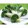 Baby Pak Choi
