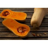 Tekvica Waltham Butternut