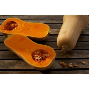 Tekvica Waltham Butternut