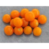 Paradajka Sungold select II - priesda