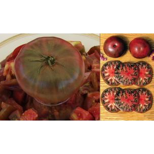 Paradajka Black from tula - priesada