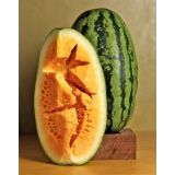 Melón Orangeglo - priesada