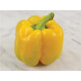 Paprika Canary - priesada