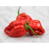 Paprika Carribean red habanero - priesada