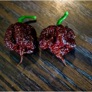 Paprika Čokoládová Carolina Reaper - priesada