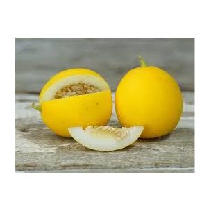 Melón Mango - Priesada
