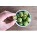 Kiwi (mini) - Issai