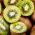 Kiwi - Jenny