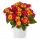 Lantana menlivá - Lantropic Magenta