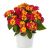 Lantana menlivá - Lantropic Magenta