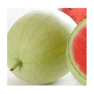 Melón Mickylee - priesada