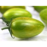 Paradajka Green tiger - preisada