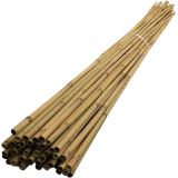 Bambusová tyč - plná - 150cm   12-14mm