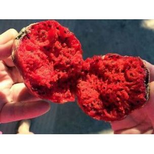 Pitaya - Dračie ovocie