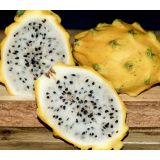 Pitaya - Dračie ovocie - žlté